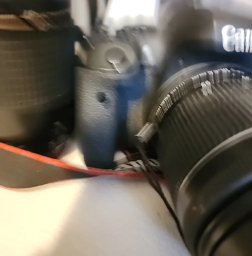 Canon eos rebel